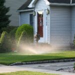 Monring light shining through spray of lawn sprinkler
